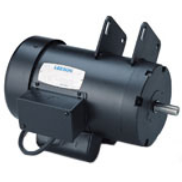 Leeson 120998.00 AC Single Phase Totally Enclosed Motors 4 hp 230 V