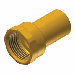 Apollo 10075774 Adapter 803-2 Female Street Small Diameter Lead Free Brass 1-1/4 Inch Fitting x Female