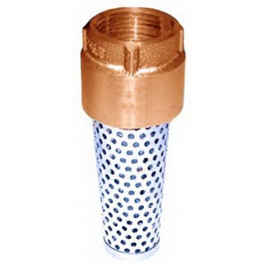 Simmons 7407 2 Inch Bronze Body Stainless Steel Spring Foot Valve, 200 psi