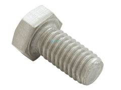 Pentair A135 Hex Head Cap Screw 3/8-16 x 3/4