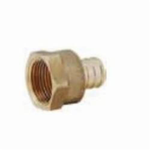 Matco-Norca PXFA0404LF Lead Free Female Adapter, 3/4 in, PEX Barb x FNPT