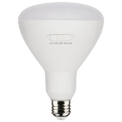 SATCO S11779 Dimmable Lamp 13 W 75 W Incandescent Equivalent