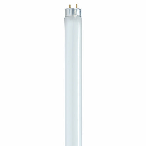 Satco S8421 32W 48 in. T8 Fluorescent Light Bulb 5000 Kelvin with Medium Bi-Pin Base