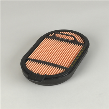 Donaldson P615493 Safety Filter