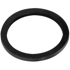 Dixon Valve & Coupling FNG150NST Gasket for Fog Nozzle