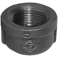 Dixon Valve & Coupling MICAP100 NPT Threaded Cap