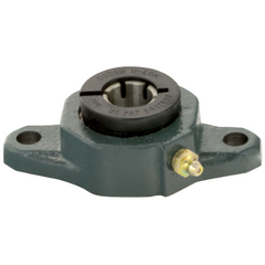 Dodge F2BDL25M Cast Iron Greasable 2-Bolt Flange Unit