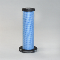 Donaldson P629467 Safety Filter