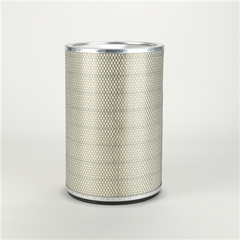 DONALDSON P145859 AIR FILTERS