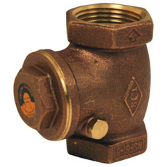 Dixon Valve & Coupling SWCV200 Check Valve 2 Female NPT x Female NPT 200 psi