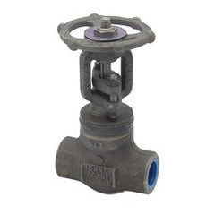 Bonney Forge WL11T-1 1 in. Forged Steel Standard Port Threaded Gate Valve BWL11TG