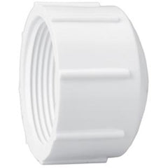 Westlake Pipe & Fittings 448007 Cap 3/4 in FNPT SCH 40/STD