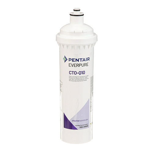 Pentair 300-05828 Water Filter Cartridge Optipure CTO-Q10