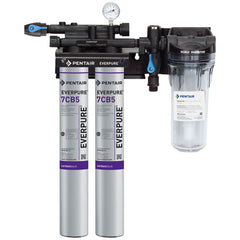 Everpure EV979722 Kleensteam Ii Twin System For Everpure Filter