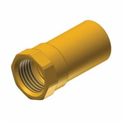 Apollo 10075764 Adapter 803-2-R Female Street Small Diameter Lead Free Brass 1/2 x 3/8 Inch Fitting x FNPT