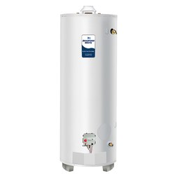 Bradford White RG250H10N Water Heater Residential Natural Gas 48 Gallon Atmospheric Vent 65K BTU 10 Year Warranty