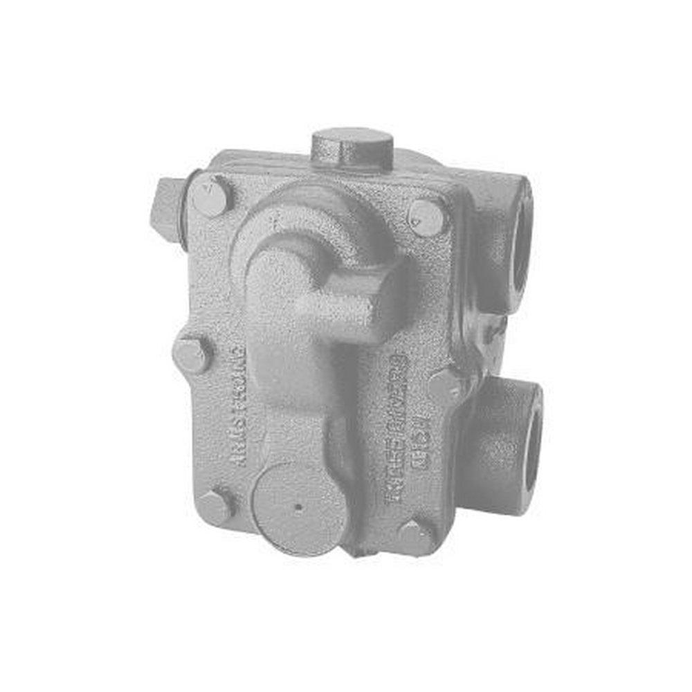 Armstrong D500867 A Series 1-1/4 in. 175 psi Steam Trap