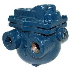 Armstrong D500867 A Series 1-1/4 in. 175 psi Steam Trap