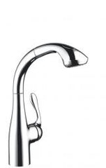 HANSGROHE 06461000 Allegro E SemiArc Kitchen Faucet 2-Spray Pull-Out 1.75 GPM