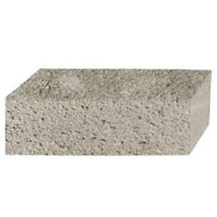 Pasco 5185 7-1/2 in. Plumbers Sponge