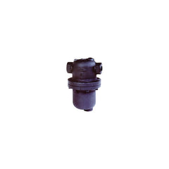 Armstrong D25974 Separator Ductile Iron 300LB NPT 2 Inch DS-1