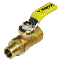 Webstone 41685 Ball Valve Brass 1/8 FIPxMIP Mini Petcock PTFE FKM Full Port