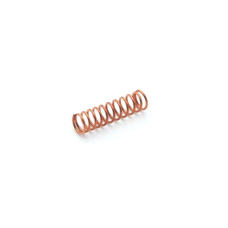 T&S Brass 001479-45 Spring For Eterna Cartridge With Spring Checks