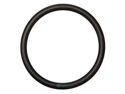 Pentair 35505-1318 Plastic Slide Valve O-Ring | 35505-1318