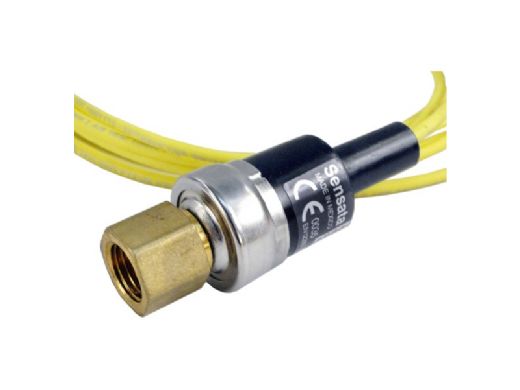 RAYPAK Raypak H000079 Control High Pressure Switch