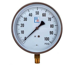 Blue Ribbon Instruments BR601D-454H 1/4 in. NPT 0 to 300 PSI Contractor Gauge