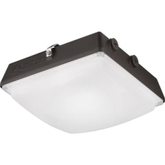 Lithonia Lighting CNYLEDP150KMVOLTDDBM4 CNY LED P1 50K MVOLT DDB M4 LIGHTING STATIC LED 35W 120-277V