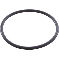 Zodiac W151211 O-Ring - Electrode