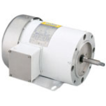 Leeson 116779.00 AC Three Phase Washguard Motors