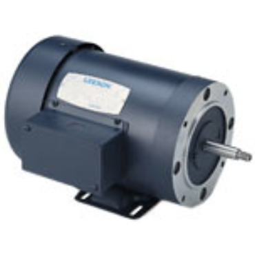 Leeson 116699.00 AC Three Phase ODP Motors 5 HP