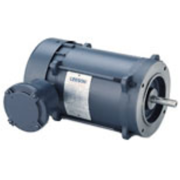 Leeson 116181.00 AC Single Phase Explosion Proof Motors