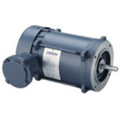 Leeson 116181.00 AC Single Phase Explosion Proof Motors