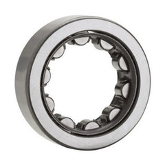 NTN NU320EG1C3 Cylindrical Roller Bearing - Straight, 100 mm ID, 215 mm OD, 47 mm Width, C3 Internal Clearance