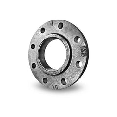 Everflow FGCF04G | 4 Class 125 Companion Flange Galvanized