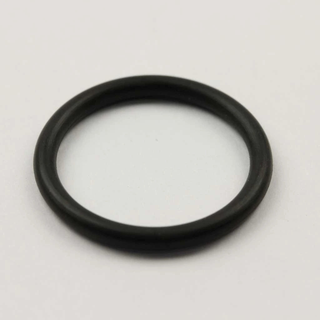 ELECTROLUX Electrolux 154691901 O-ring Turbidity (Pack 1) 7154691901