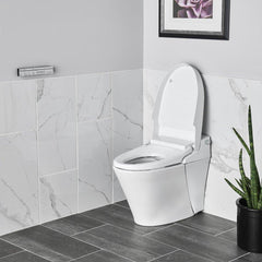 American Standard 8017A60GRC-291 Advanced Clean Elongated Closed Front with Cover Bidet in Alabaster White