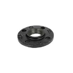 Everflow FGCF06B | 6 Class 125 Cast Iron Companion Flange Black | Replacement MPN