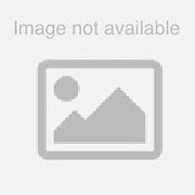 Nachi 64302 PREM. 7/8-14 H4 4FL TAPER TAP (L911)