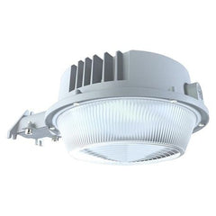 RAB YBLED Dimmable Light LED Lamp 60 50 50 W Fixture 120 to 277 VAC