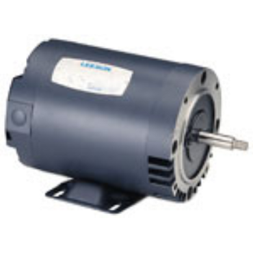 Leeson 116698.00 AC Three Phase ODP Motors 5 hp