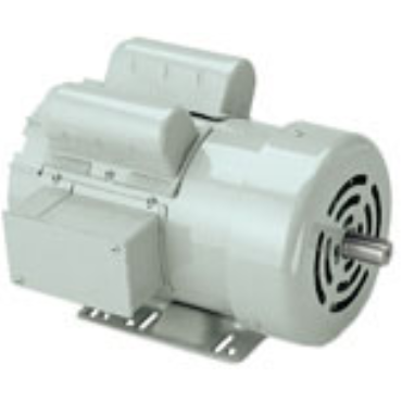 Leeson 111330.00 AC Single Phase Agricultural Duty Motors