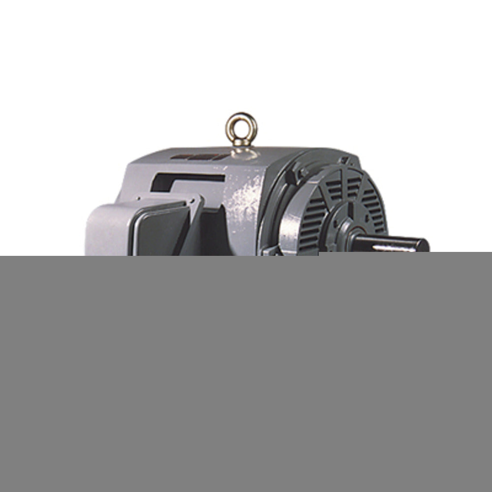 TECO DHP0102G General Purpose Motor 10HP 3600 RPM