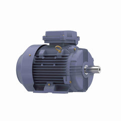 Marathon MR331B IEC Motor 10 HP 1775 RPM TEFC