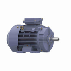 Marathon MR337B IEC Motor 20 HP 1775 RPM TEFC