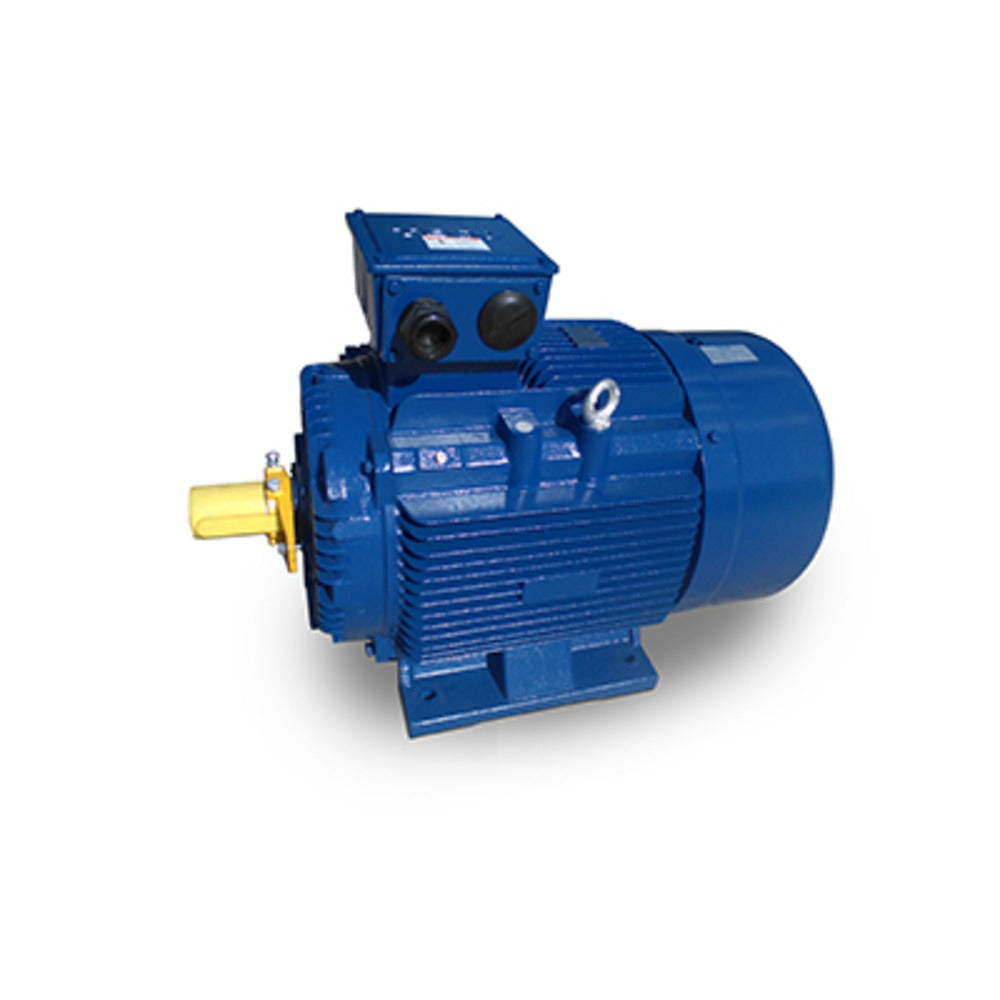 TECO MP0022 IEC Motor 2 HP