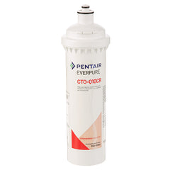 Pentair 300-05835 Cartridge Water Filter Ctos-Q